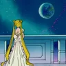 Heartbeats on a Falling Star Night