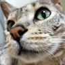 まっきん