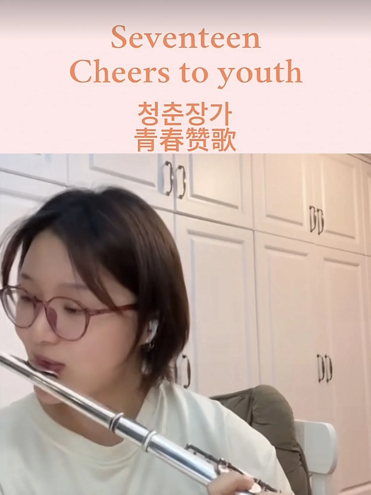 【KPOP】청춘찬가 (Cheers to youth) - Seventeen by Amelie Flute