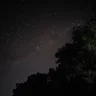 조은선