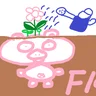 Pigflower