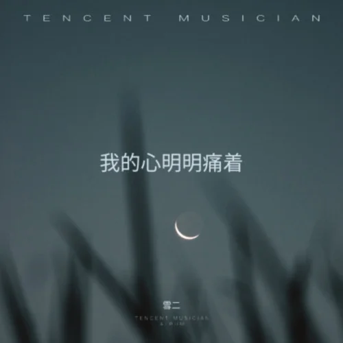 我的心明明痛着 - 雪二 by c