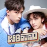 Rebound