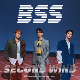 BSS of Seventeen