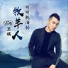 Wang Qi