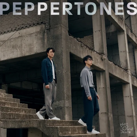 사파리의 밤