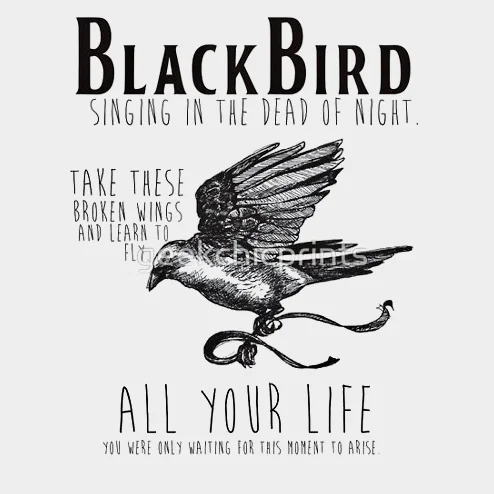 Blackbird - ビートルズ by GuitarCrip