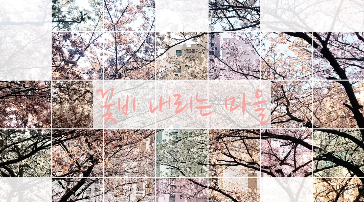 花雨の降る村(Flower Rain) - Dule.Kim by 김전조