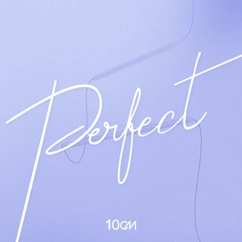 Perfect