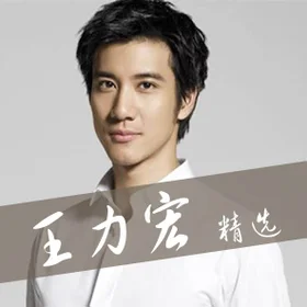 王力宏 精选 Leehom Collection