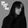 No Time To Die 