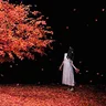 茜さす