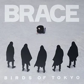 Birds of Tokyo - Brace (Full Album Drum Transription)