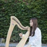 harpminnie