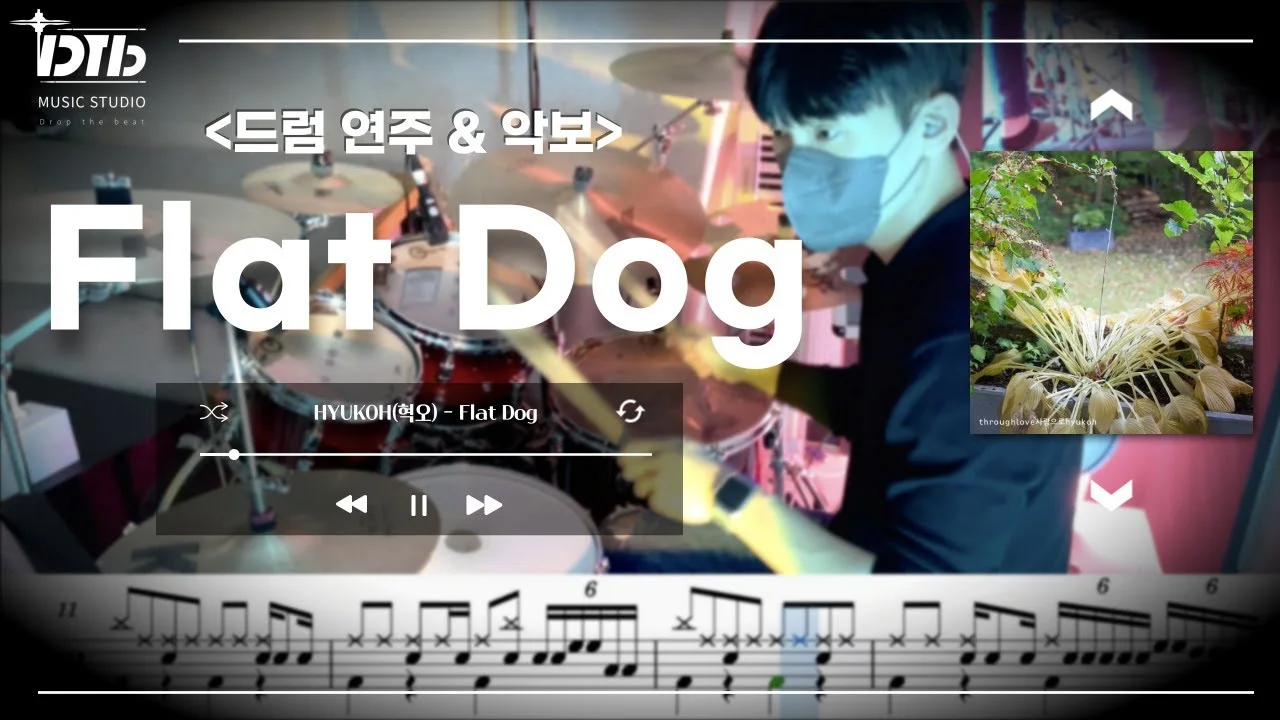 Flat Dog - Hyukoh by 디티비드럼전문학원
