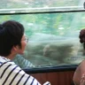 hirobass.com