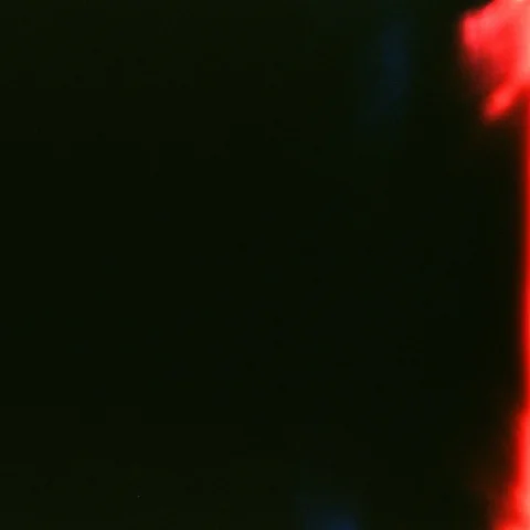 봉제선 (Feat. 수란)