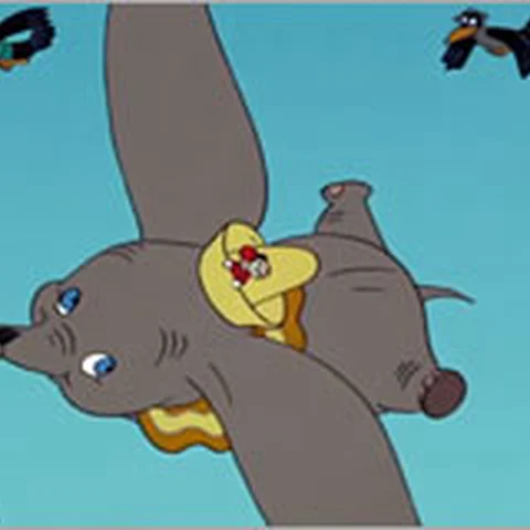 When I See an Elephant Fly