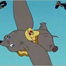 When I See an Elephant Fly