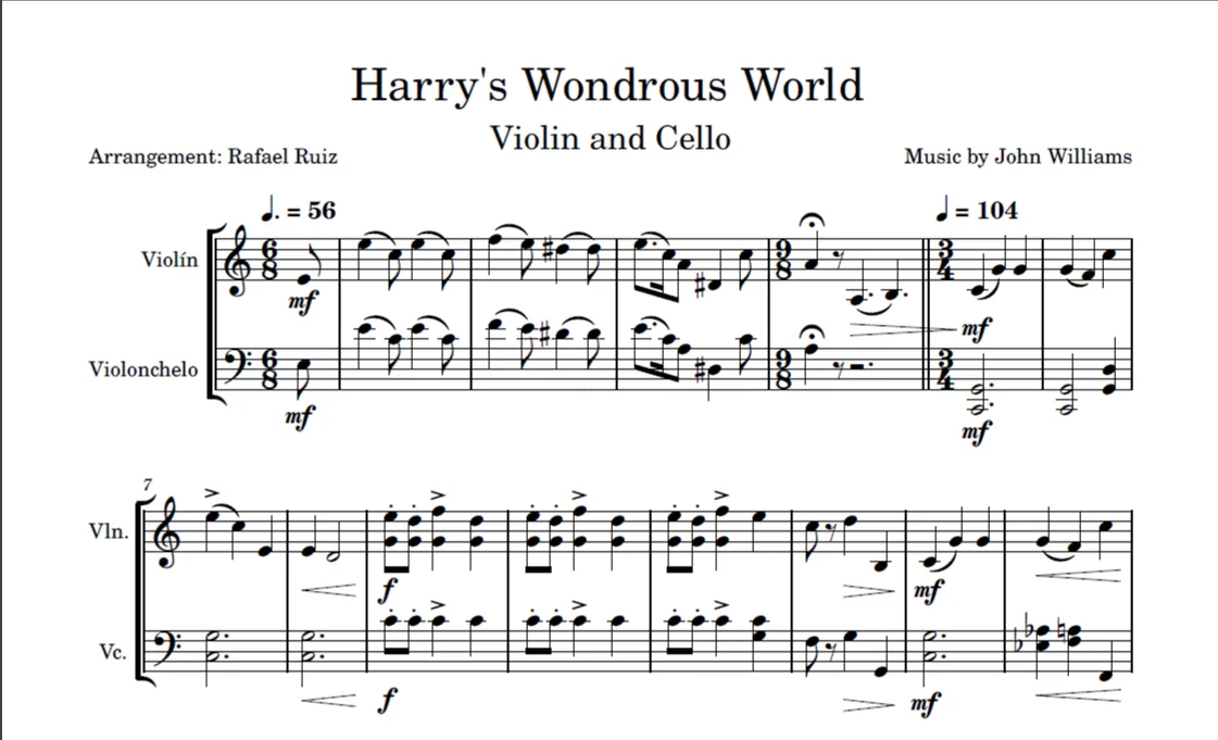 Harry's Wondrous World - John Williams (Violin and Cello Duo) by Rafael Ruiz