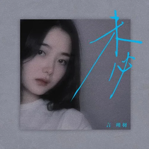 未必 - 言瑾羽 by c
