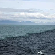 Gulf of Alaska