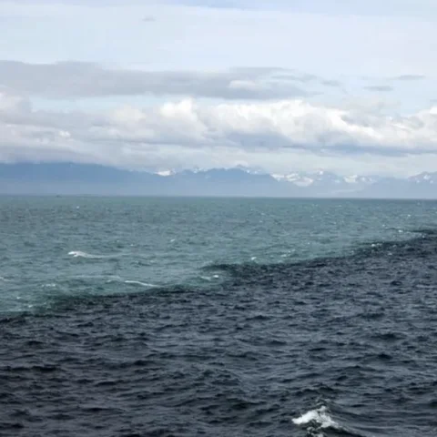 Gulf of Alaska