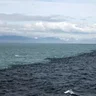 Gulf of Alaska