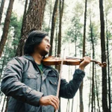 Amateur Suburb Violinist