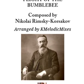 Flight of the Bumblebee (Orchestra)