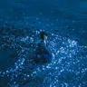 Ryuusei