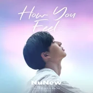 NuNew - How You Feel