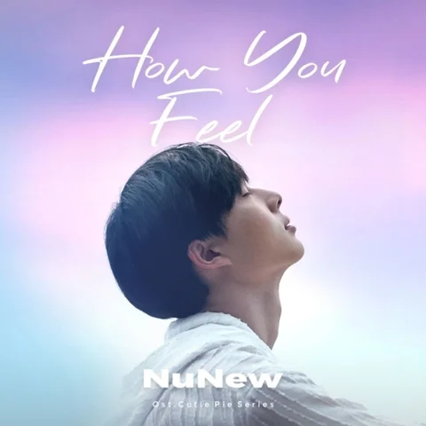 NuNew - How You Feel