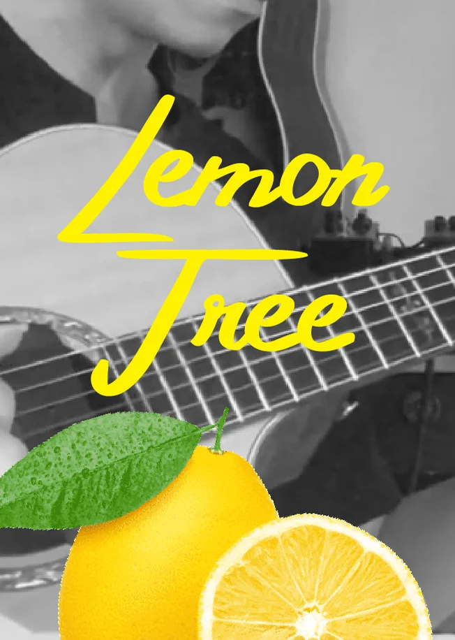 Lemon Tree - Su Hui Lun (Fingerstyle) by HowMing