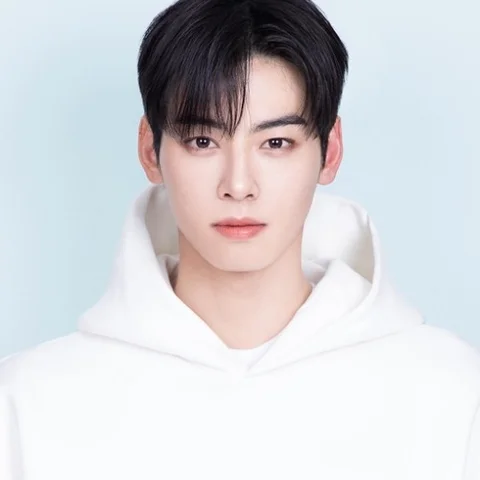 Cha Eunwoo