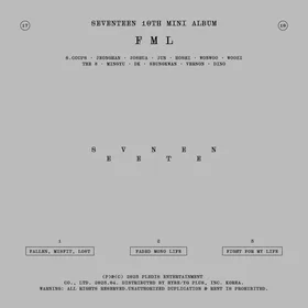FML (SEVENTEEN)