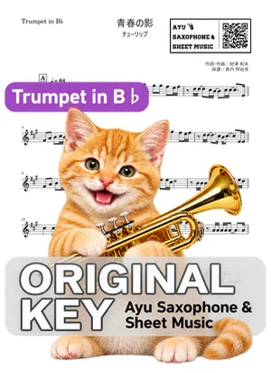 青春の影 - TULIP (trumpet / in B♭) by Ayu Saxophone & Sheet Music