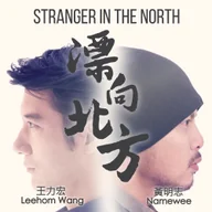 Stranger In the North