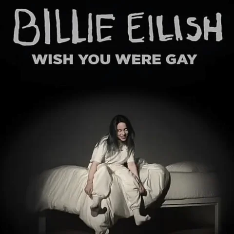Wish You Were Gay