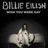 Wish You Were Gay