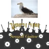 SeagullGuitar