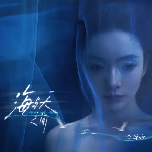 海与天之间 - 陈卓璇 by c