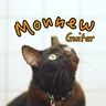 Monnew Guitar