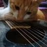 pppSheepGuitar