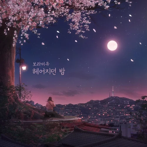 헤어지던 밤 - 보라미유 (보통) by JD MUSIC