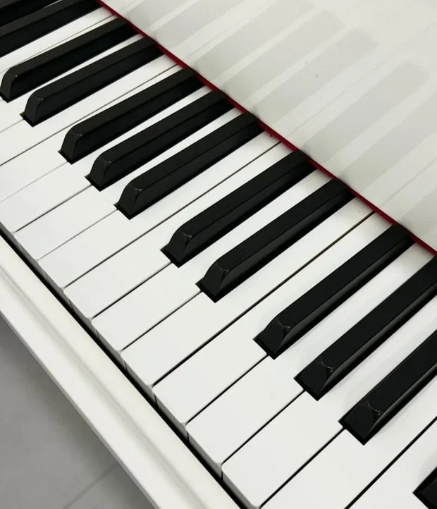 D의 캐논 - pachelbel by ljh