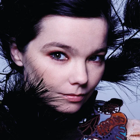 Bjork