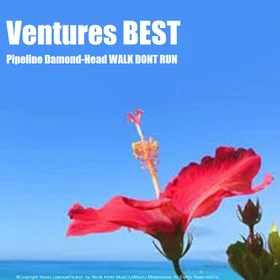 Venturs Vest3 Songs
