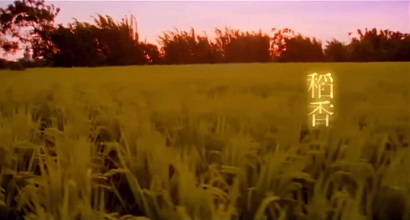 Rice Field - Jay Chou by okami music studio