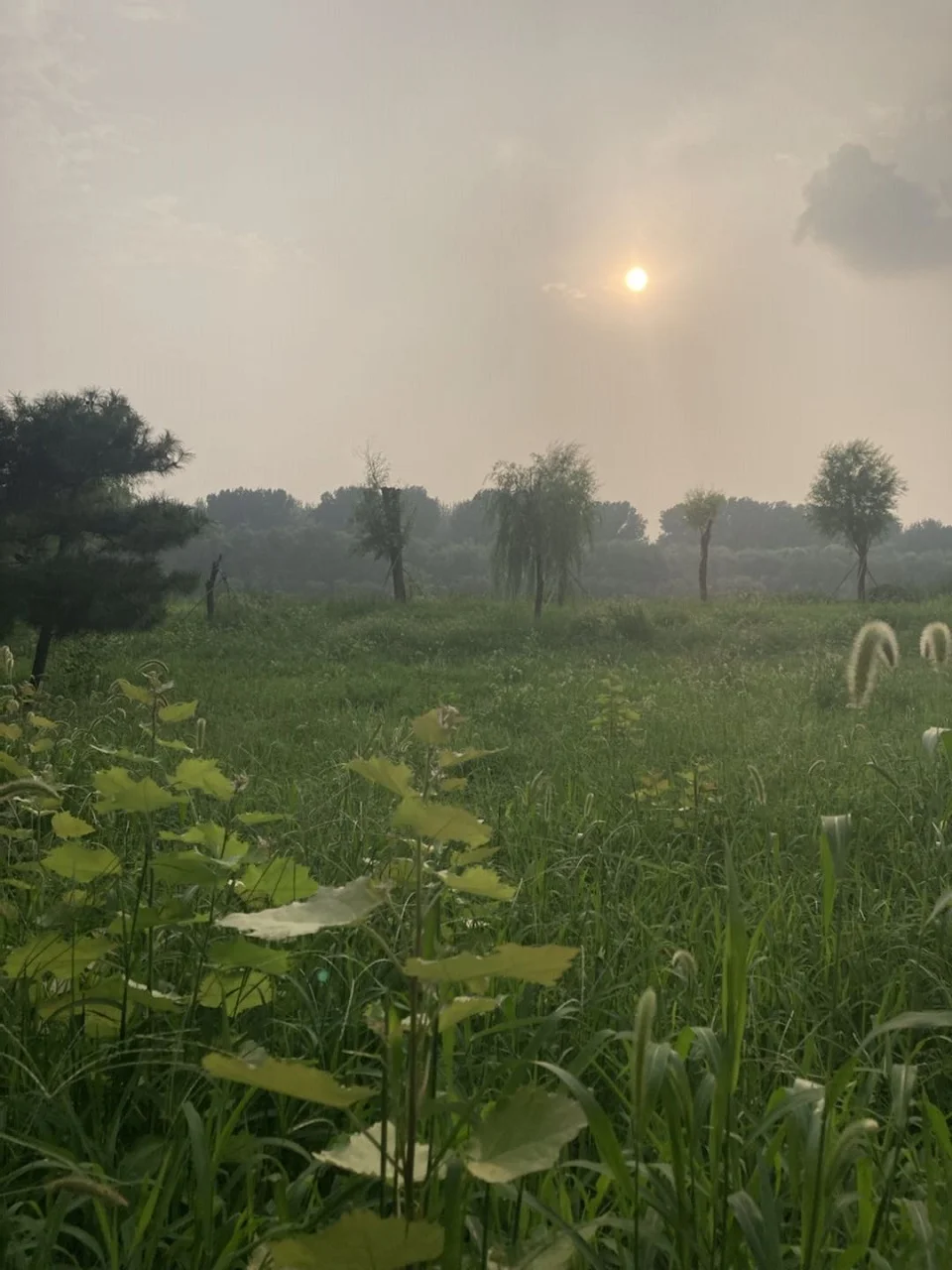 첫사랑(C조로 이조) - 김효근 (피아노 연주곡) by Rivertree